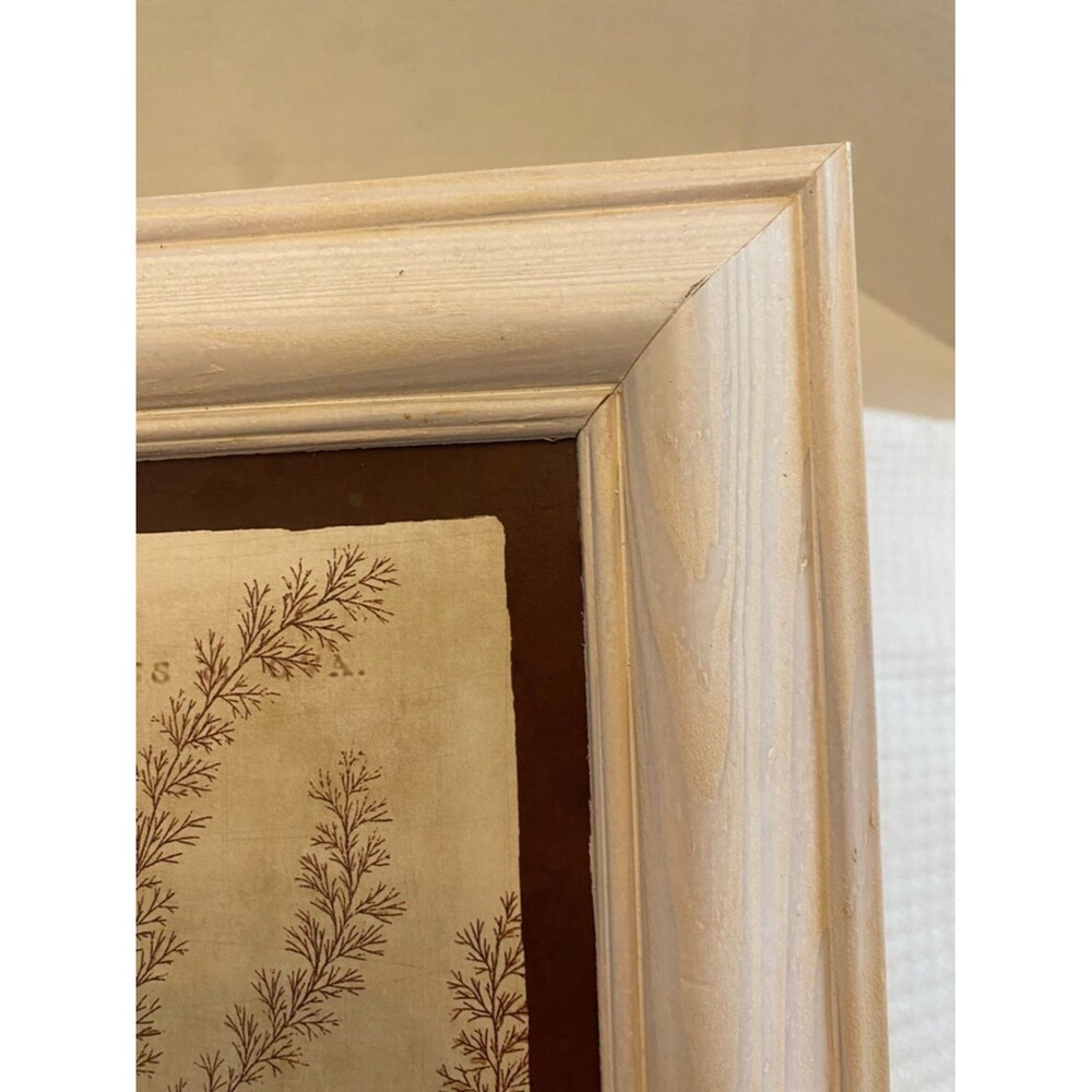 Stephanie Marrott Sea Shell Wall Art - with a Quote from Chopin - Picture 6 of 9